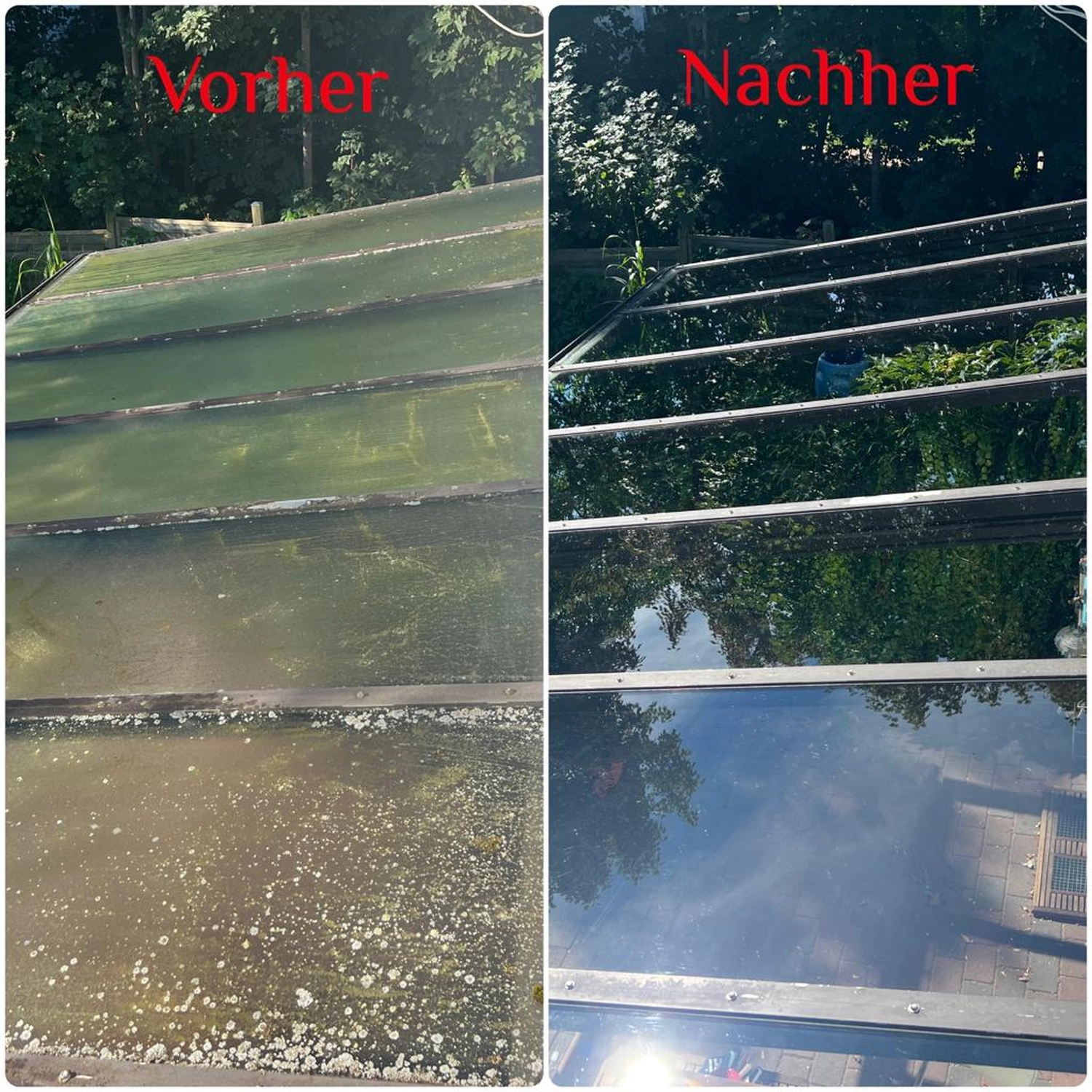 Dragan-Reinigungsservice und mehr, Vorher- und Nachher-Fotos der Glasdachreinigung