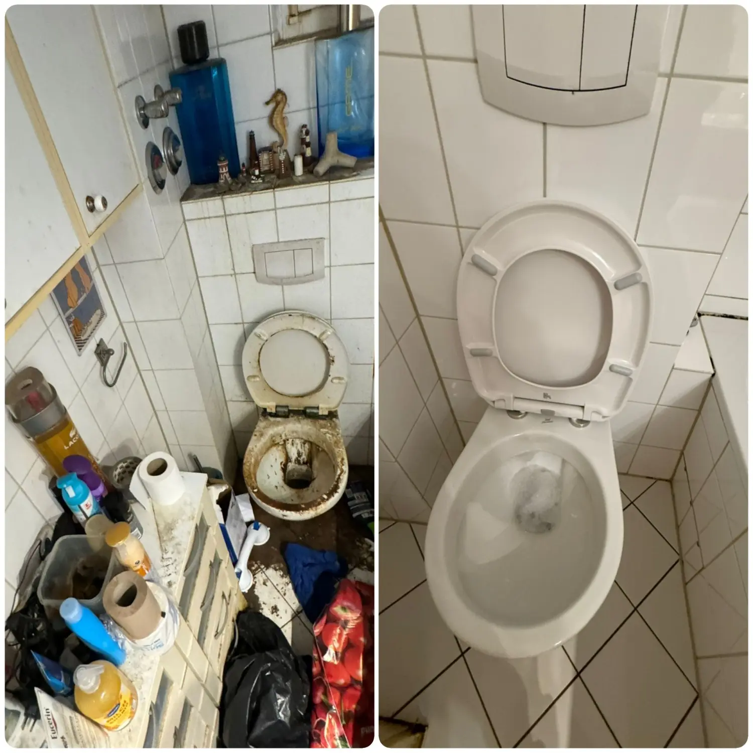 Dragan-Reinigungsservice und mehr, Vorher- und Nachher-Fotos der Ziegelbodenreinigung