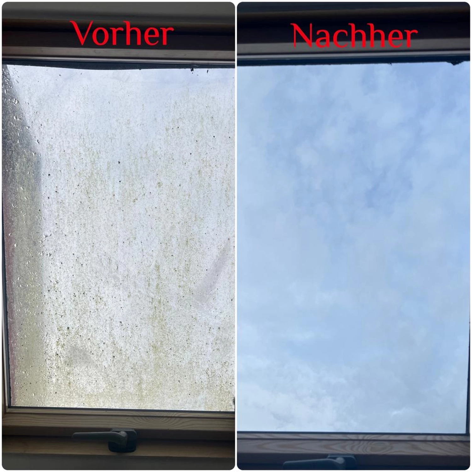 Dragan-Reinigungsservice und mehr, Vorher- und Nachher-Fotos der Fensterglasreinigung